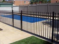 Palisade Fencing Pros Cape Town image 9
